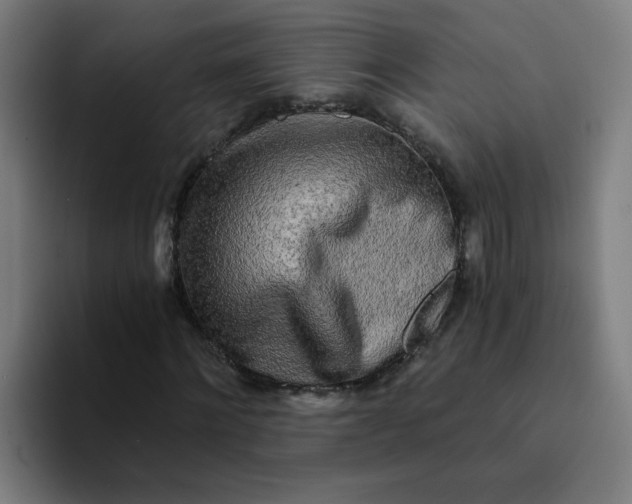 X0000094200868200711161806