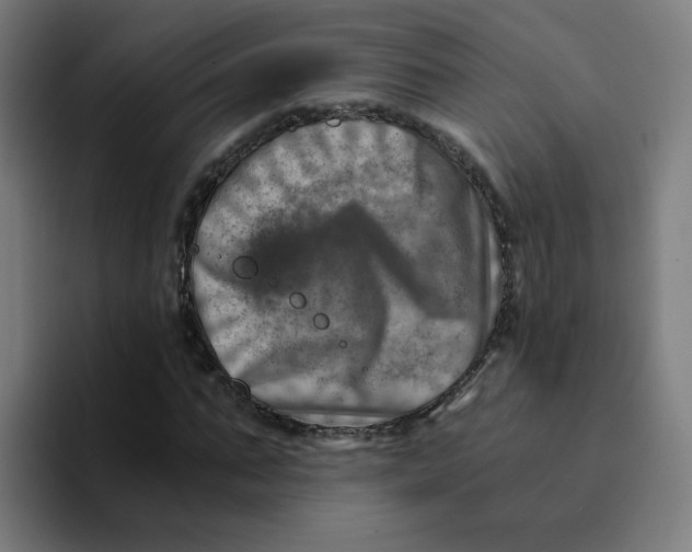 X0000094200871200711161806