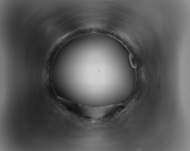 X0000094200872200711161806