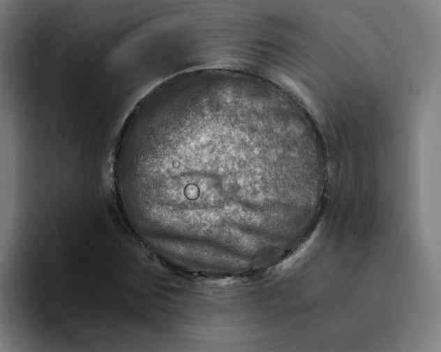 X0000094200875200711161806