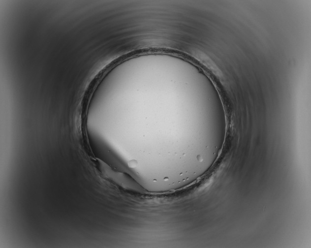 X0000094200877200711161806