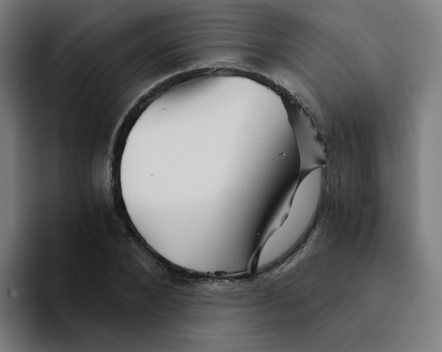 X0000094200880200711161806