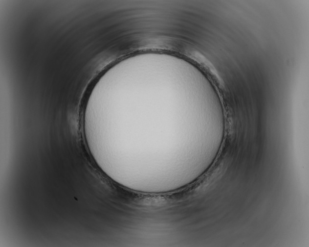 X0000094200882200711161806