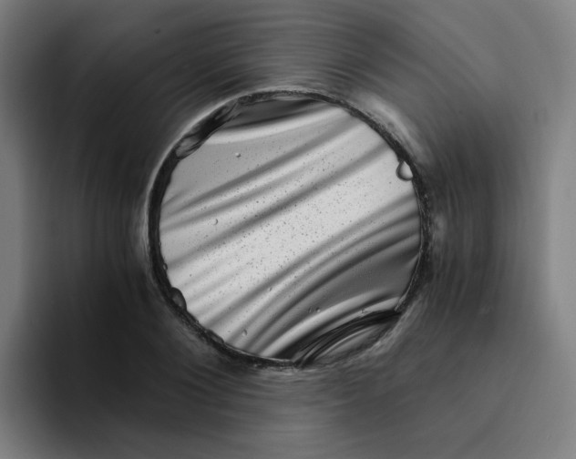 X0000094200884200711161806