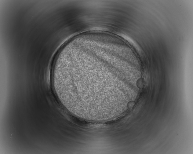 X0000094200886200711161806