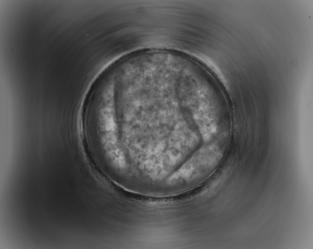 X0000094200887200711161806