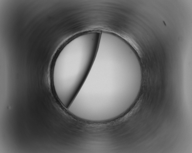 X0000094200888200711161806