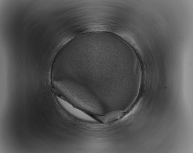 X0000094200889200711161806