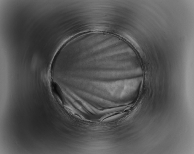 X0000094200891200711161806