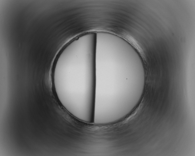 X0000094200892200711161806