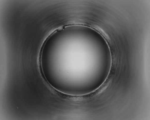 X0000094200893200711161806