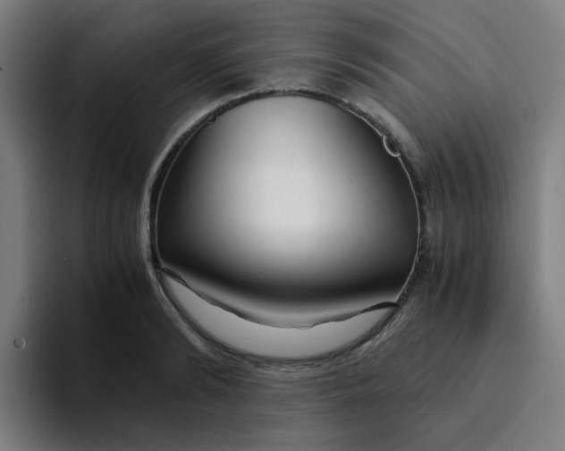 X0000094200894200711161806