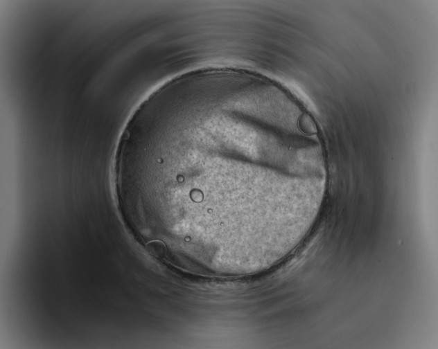 X0000094200895200711161806