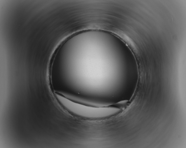 X0000094200896200711161806