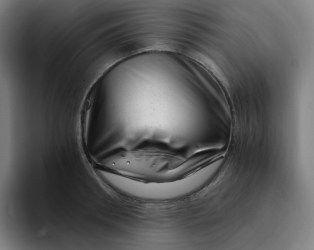 X0000094200898200711161806