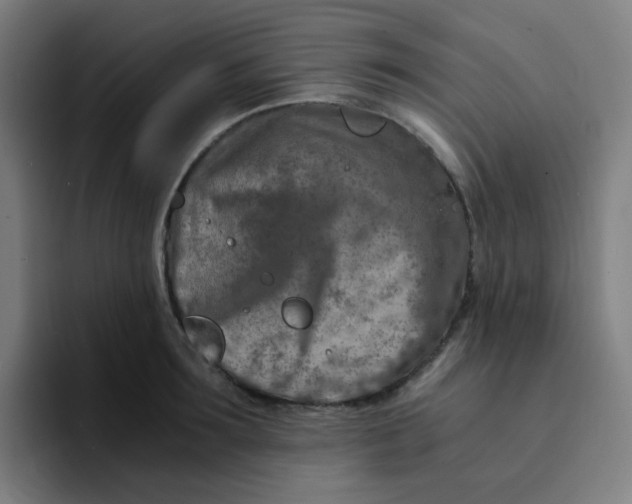 X0000094200899200711161806