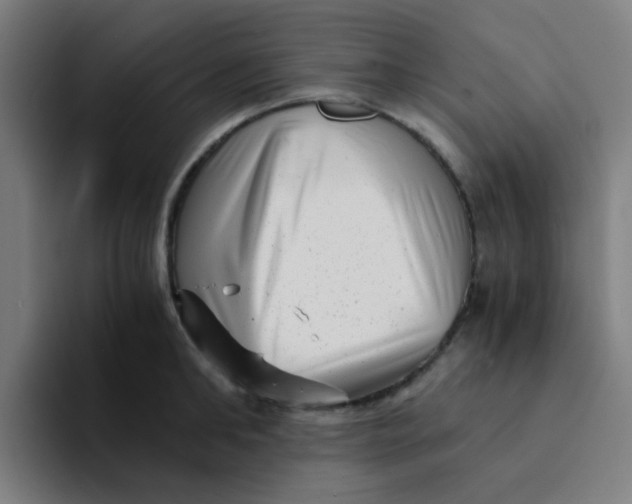 X0000094200902200711161806