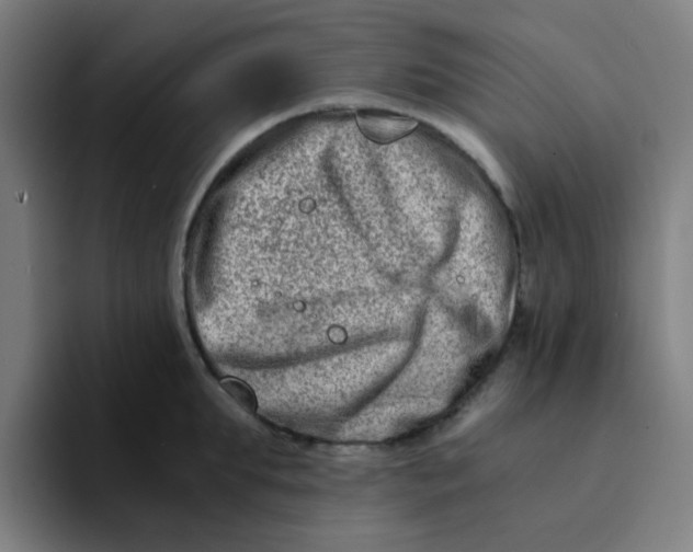 X0000094200903200711161806