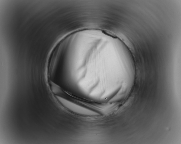 X0000094200904200711161806