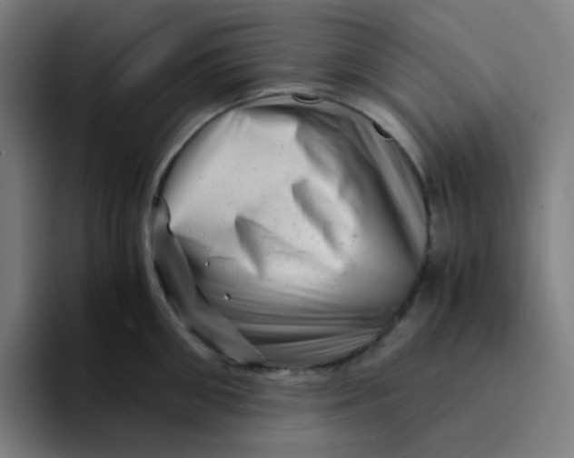 X0000094200906200711161806