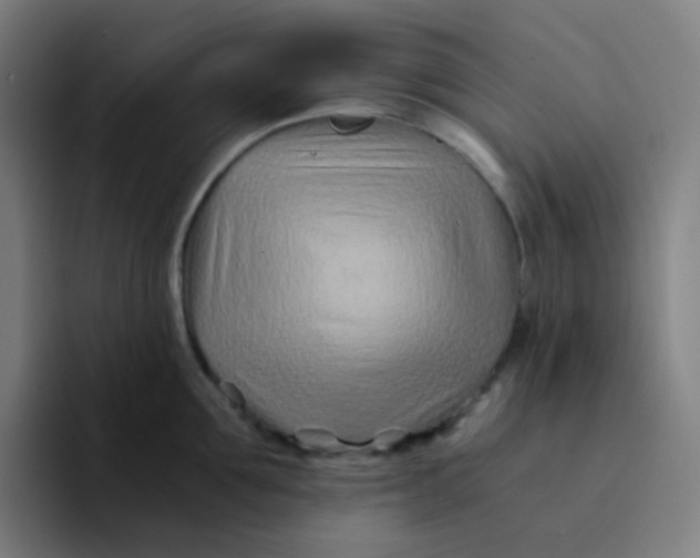 X0000094200907200711161806