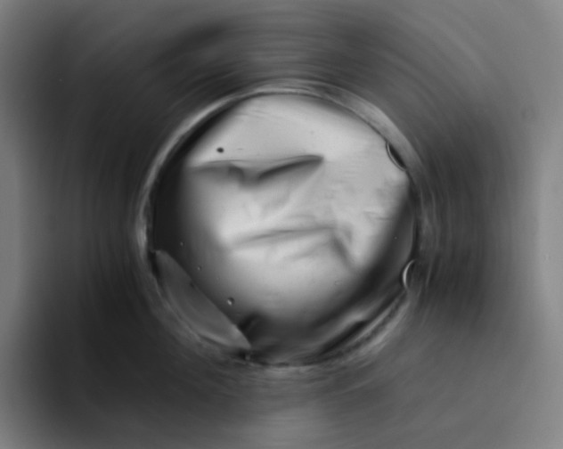 X0000094200908200711161806