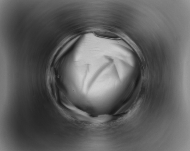 X0000094200909200711161806