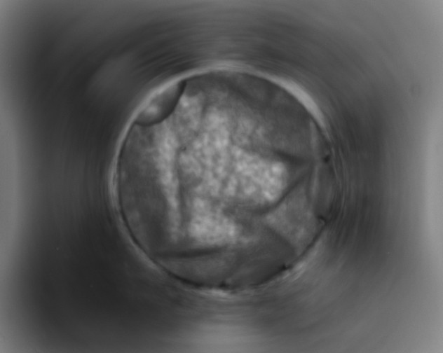 X0000094200911200711161806