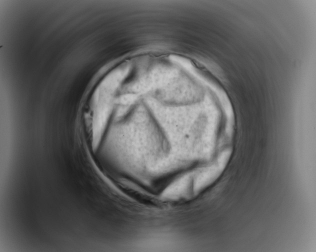 X0000094200912200711161806