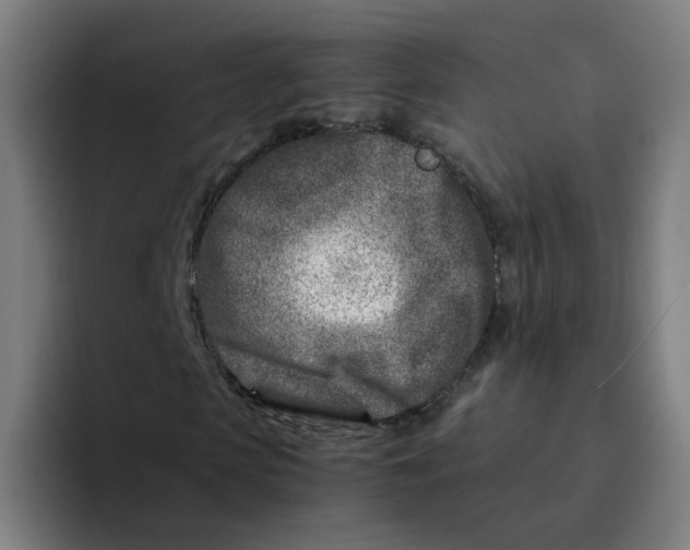 X0000094200913200711161805