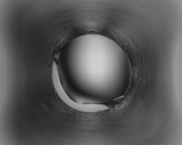 X0000094200916200711161805