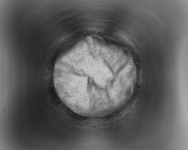 X0000094200917200711161805