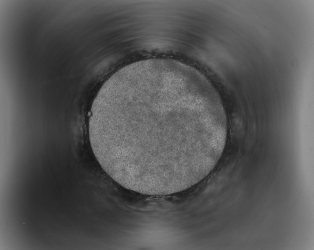 X0000094200918200711161805