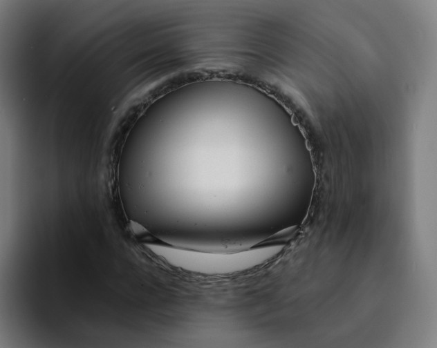 X0000094200920200711161805