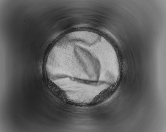 X0000094200921200711161805