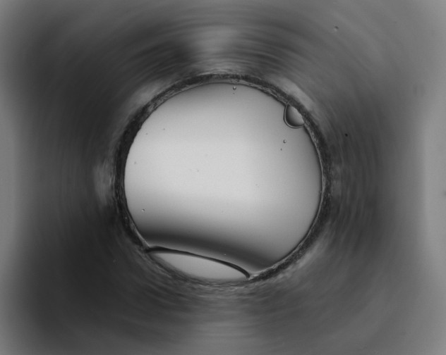 X0000094200922200711161805