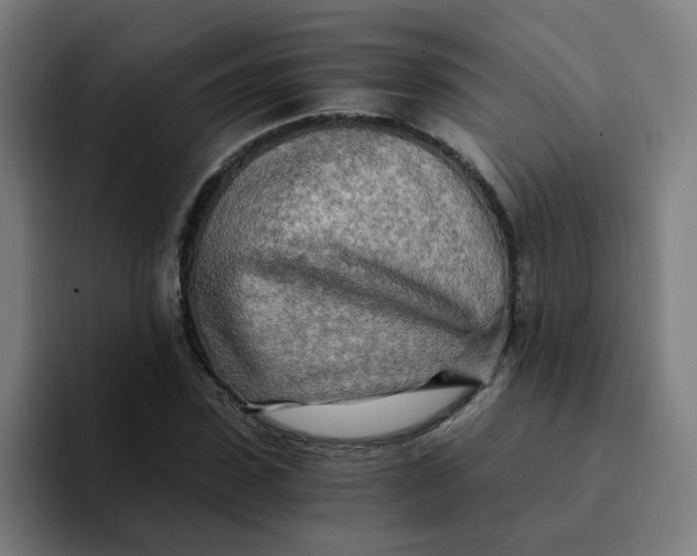 X0000094200923200711161805