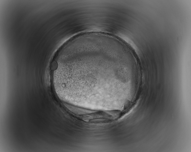 X0000094200925200711161805