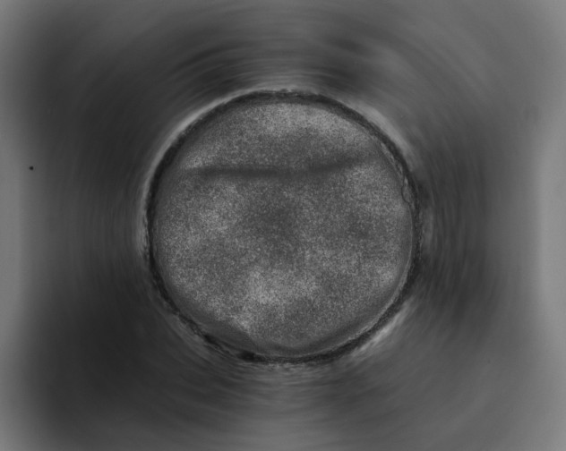 X0000094200927200711161805