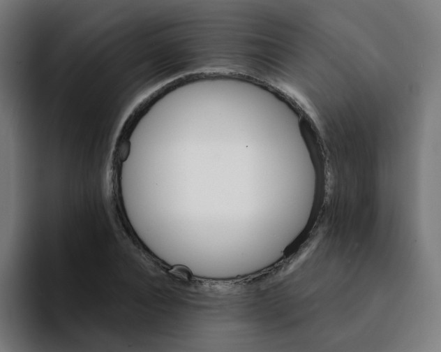 X0000094200928200711161805