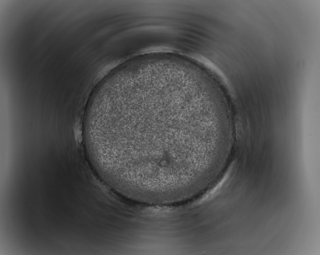 X0000094200929200711161805