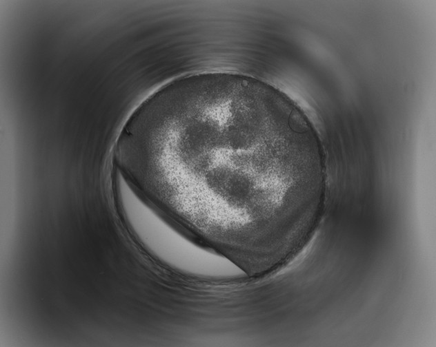 X0000094200933200711161805