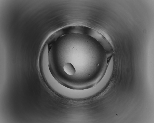 X0000094200936200711161805