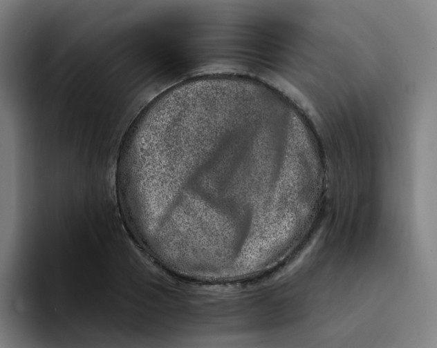 X0000094200937200711161805