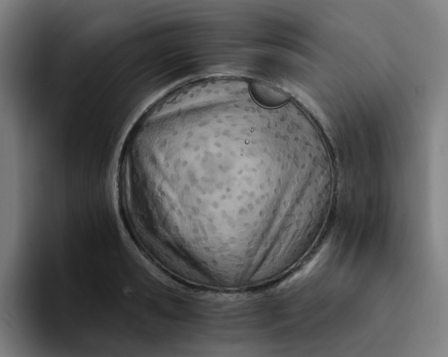 X0000094200941200711161805