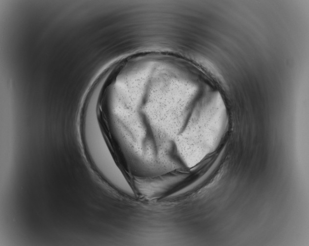 X0000094200942200711161805