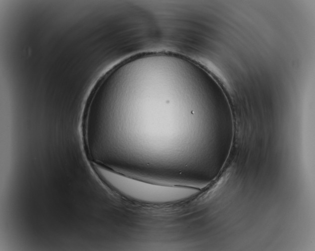 X0000094200943200711161805