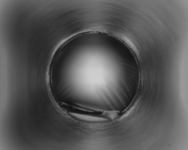 X0000094200944200711161805