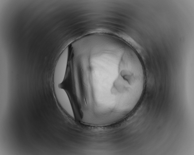 X0000094200945200711161805