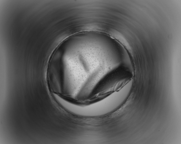 X0000094200946200711161805